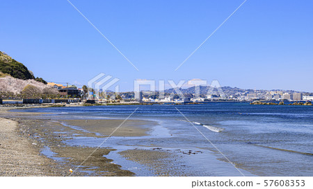 自來水（彈簧） 57608353