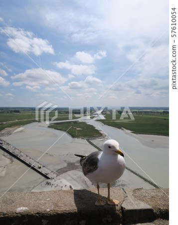 從聖米歇爾山(Mont Saint Michel)看到的海鷗沿著浣熊河(Quenon River)的壯麗景色 從聖米歇爾山(Mont Saint Michel)看到的海鷗沿著浣熊河(Quenon River)的壯麗景色 57610054