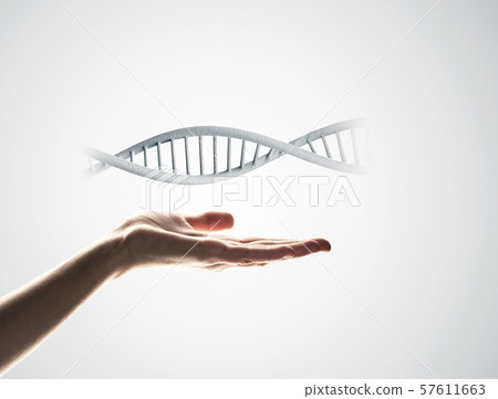 Biotechnology concept presented by DNA molecule in male palm 57611663