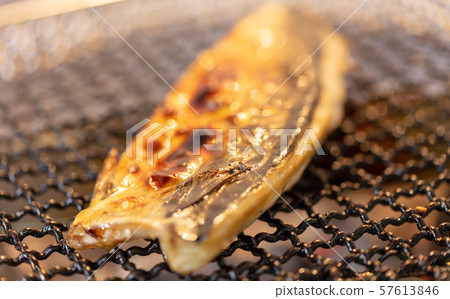 Charcoal-grilled BBQ, bbq, charcoal-grilled, grilled, Bincho charcoal, Shichirin, camp, meal, salmon 57613846