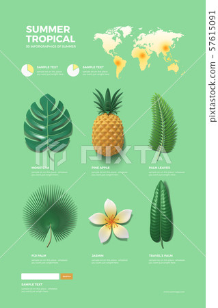 Summer infographic elements set 006 57615091