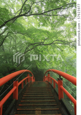 用綠色楓樹蓋的紅色橋樑 用綠色楓樹蓋的紅色橋樑 57615977