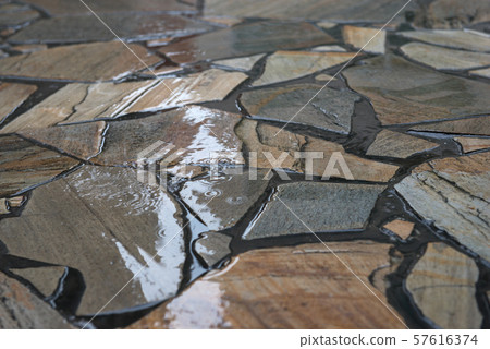 Rainy ground 57616374