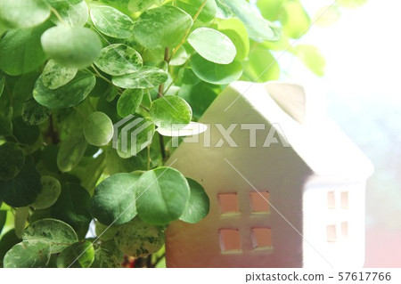 small house 57617766
