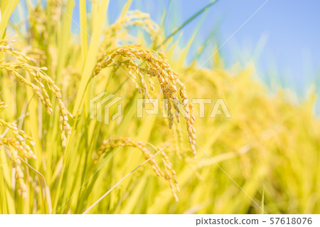 藍天和彩虹 藍天和彩虹 57618076