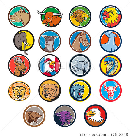 Cartoon Animals Head Circle Set Cartoon Animals Head Circle Set 57618298