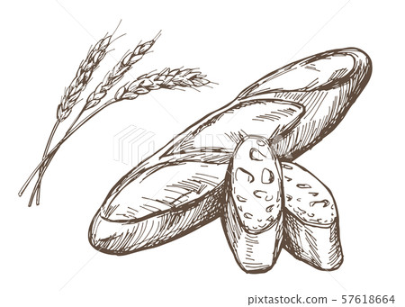 Hand-drawn illustration material: French bread 57618664