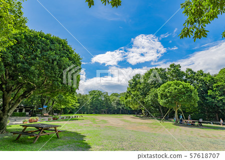 清水縣清水縣清水鎮 清水縣清水縣清水鎮 57618707