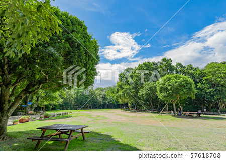 清水縣清水縣清水鎮 清水縣清水縣清水鎮 57618708