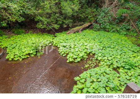 Shimizu, Shizuoka Prefecture, Shimizu Town 57618719