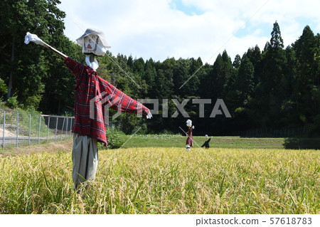 Scarecrow's lookout Scarecrow's lookout 57618783