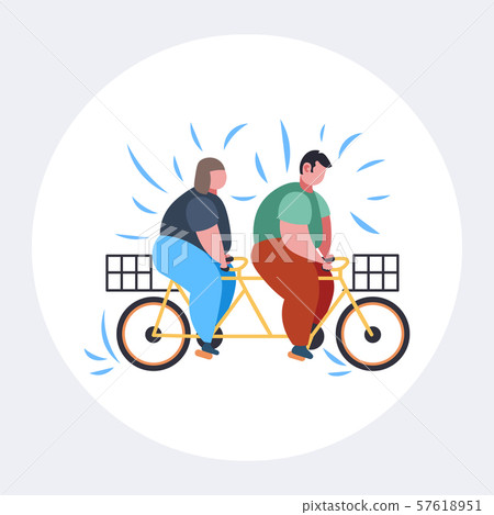 bicycle for overweight