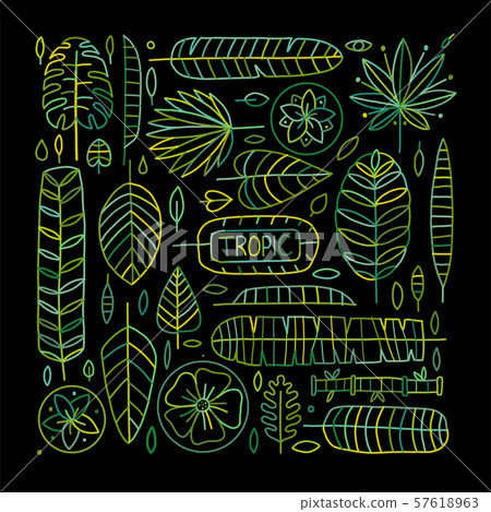 Tropical leaves background for your design 57618963