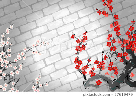 石路面李子 57619479