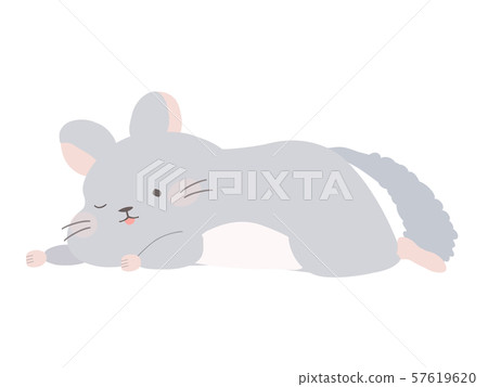 它使我們懶惰栗鼠 57619620