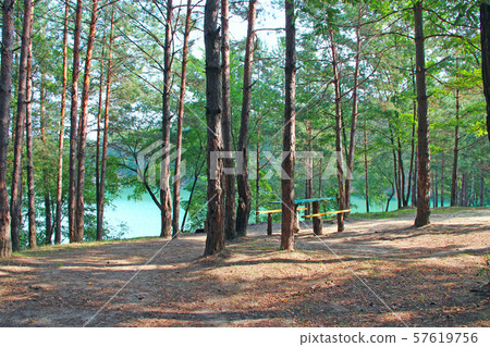 Benches and table in forest near lake Benches and table in forest near lake 57619756