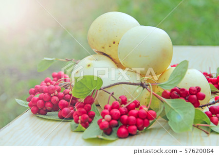 apples and schisandra. Still life with ripe apples and schisandra. Still life with ripe 57620084