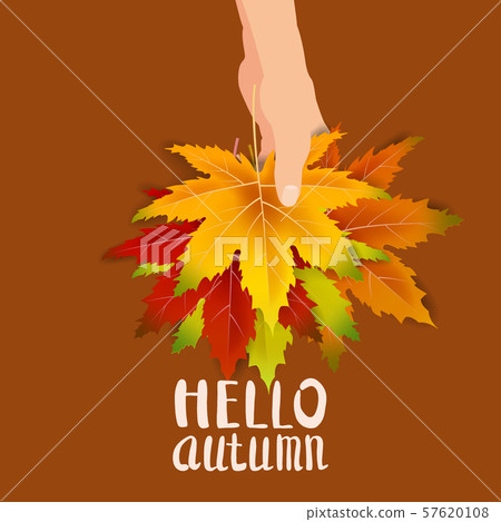 Hand hold autumn colorful leaves bright bouquet fall, floral. Hello Autumn lettering. Vector Hand hold autumn colorful leaves bright bouquet fall, floral. Hello Autumn lettering. Vector 57620108