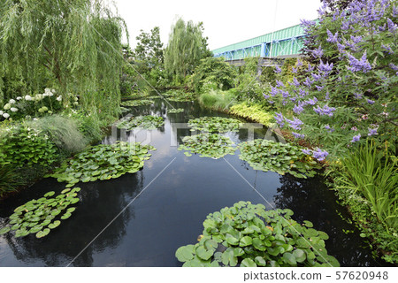 食物和綠色空中花園 57620948