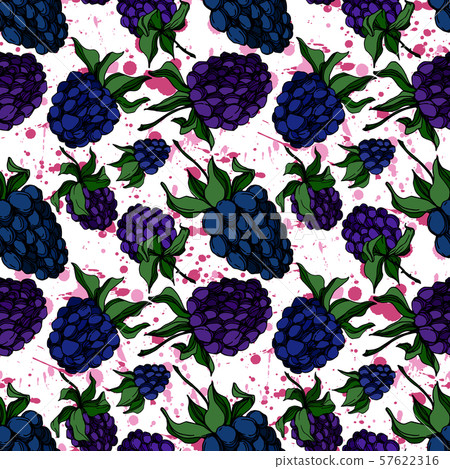 Vector Blackberry healthy food. Black and white engraved ink art. Seamless background pattern. 57622316