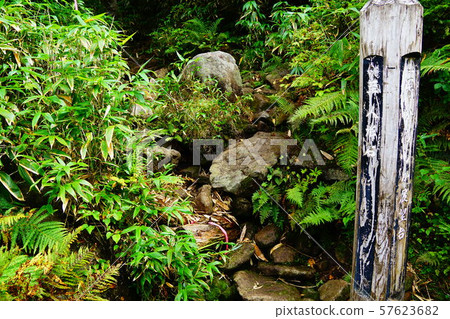 天元台，從寧波台到寧約的起點 57623682