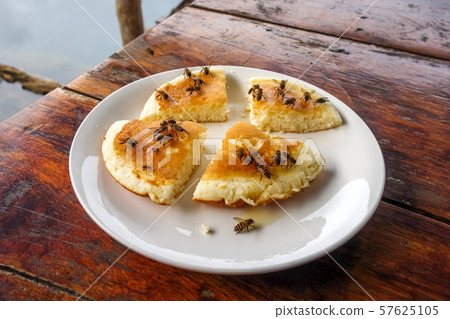 Wasps on a pancake, Thailand Wasps on a pancake, Thailand 57625105