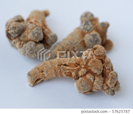Chinese traditional herb panax ginseng on white 57625787