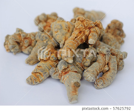 Chinese traditional herb notoginseng on white Chinese traditional herb notoginseng on white 57625792