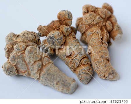 Chinese traditional herb notoginseng on white 57625793