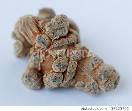 Chinese traditional herb notoginseng on white 57625795