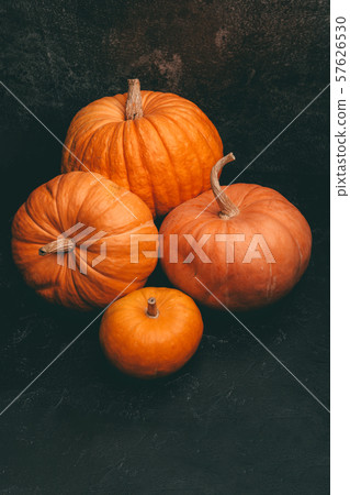 Photo of four orange pumpkins on black background, halloween celebration, space for inscription. Photo of four orange pumpkins on black background, halloween celebration, space for inscription. 57626530