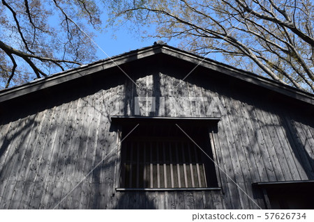 Yamai倉庫zelkova樹排行了樹 57626734