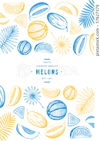 Melons and watermelons with tropical leaves design Melons and watermelons with tropical leaves design 57627378