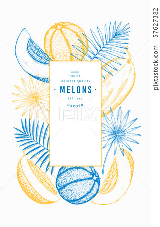 Melons and watermelons with tropical leaves design 57627382