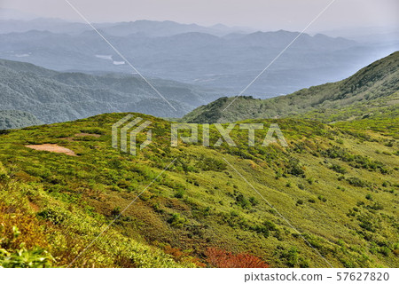 Blush mountain 57627820