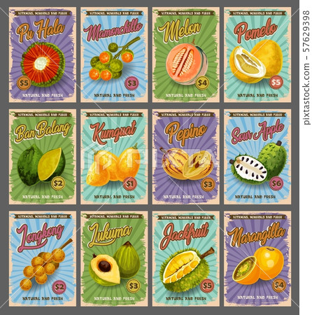 Exotic tropical fruits, farm market price cards Exotic tropical fruits, farm market price cards 57629398