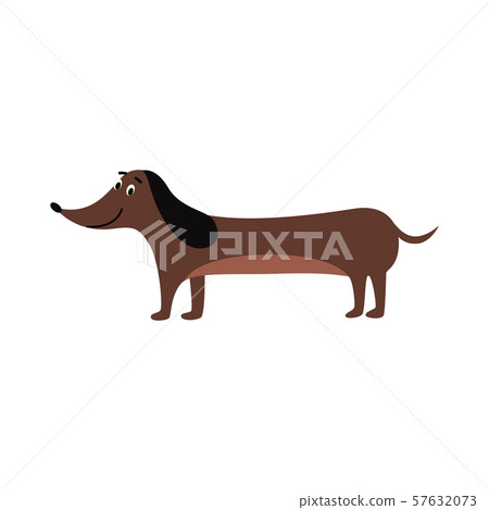 Funny dachshund or teckel puppy dog flat cartoon vector illustration isolated. Funny dachshund or teckel puppy dog flat cartoon vector illustration isolated. 57632073