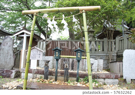 Kazunokuni Ichinomiya Tamame Shrine 57632262