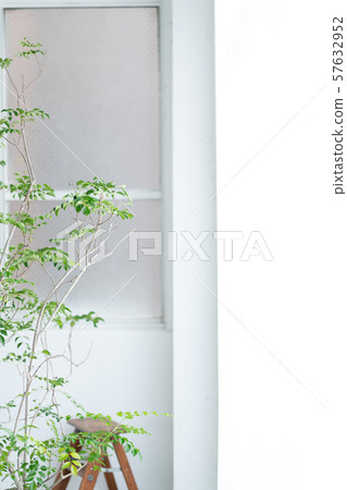 Interior Design Room Plant White Natural Light Renovation Concrete Unleashed Interior Design Room Plant White Natural Light Renovation Concrete Unleashed 57632952