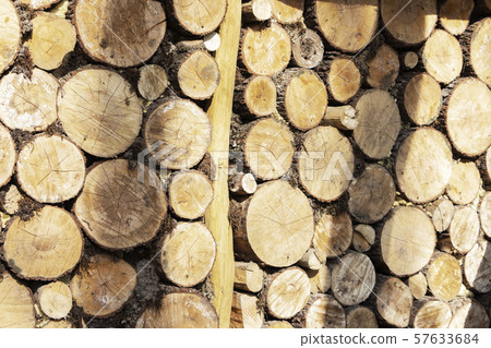 A large stack of pine logs stacked for collection A large stack of pine logs stacked for collection 57633684