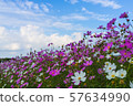 Cosmos 57634990