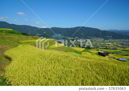 Tanada rice fields in autumn Tanada rice fields in autumn 57635063