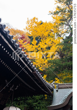 Todaiji Temple in autumn Todaiji Temple in autumn 57635733