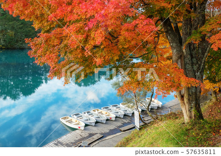 福島縣北鹽原村 毗沙門沼的秋葉 福島縣北鹽原村 毗沙門沼的秋葉 57635811