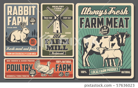 Farm food products, cattle and poultry farming 57636023