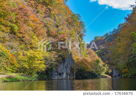 A trip to a boat trip in Ichinoseki, Ichinoseki, autumn leaves A trip to a boat trip in Ichinoseki, Ichinoseki, autumn leaves 57636670