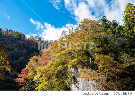  秋天的一關市一關乘船遊覽 57636679