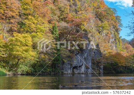  A trip to a boat trip in Ichinoseki, Ichinoseki, autumn leaves 57637242
