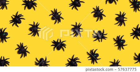 Halloween black spiders Halloween black spiders 57637775
