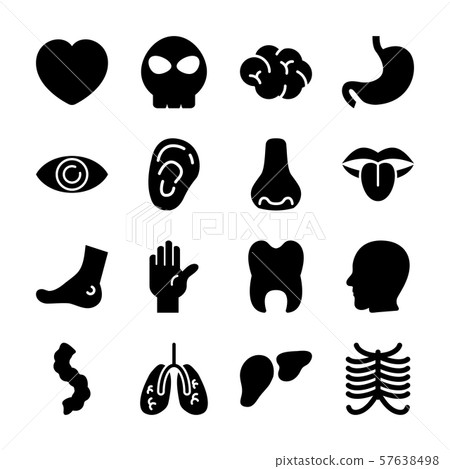 organ solid icons - Stock Illustration [57638498] - PIXTA